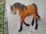 Voila, mon premier dessin mis sur le web =)