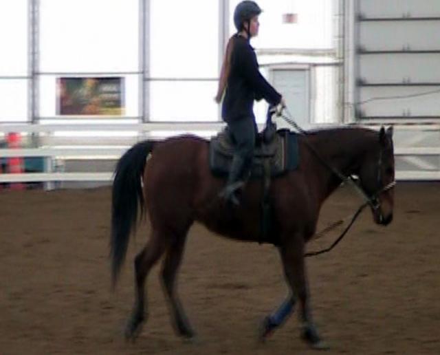Trot. Manolo et Moi - Son trot est tellement l'enfer :) Regardez ma...