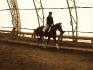 Premi&egrave;re comp&eacute;tition de dressage 
