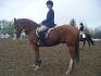 MOi et Bamby à notre première sortie sur un terrain de concours!