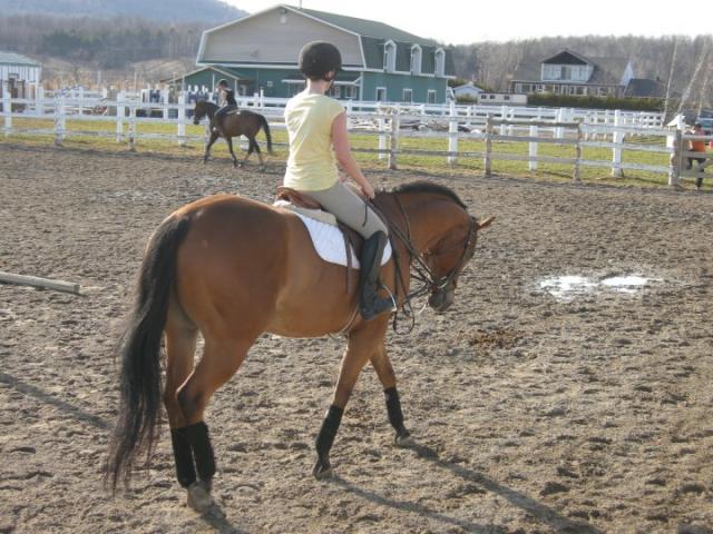 Première sortie à l'extérieur de grosse Toune :) Flatwork :)
