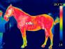 Azimut en thermographie...