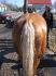Mes grosses fesses musclées!  <3
