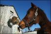 Le chat & Mon Gros poney :)
