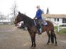 Mon bb (L) Spike