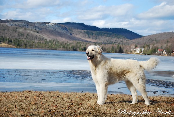 SnowBall au chalet