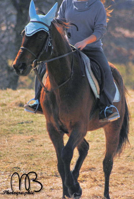 PHOTOSHOOT AVEC MAUDE ET SON CHEVAL 2 AVRIL