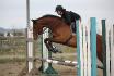 Il aime tellement sauter, il en mange!! Dommage...
