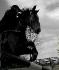 Merci mon ptit Dylan pour cette belle photo !...