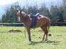 Mon P'ti'Bou <3