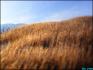 Le mont poilue :D