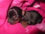 Mon tit bb de 6 jours !! <3