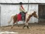 Galop allongé ...