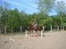 Mia saut 3.6 pieds (la photo est flou mais c pas grave...)