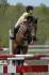 Merl & I schooling Bromont