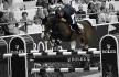 Le grand Markus Ehning et Plot Blue en train de...