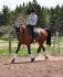 Ali Jab et moi au trot, pas mal beau mon homme