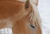 Zizanie!! J'adore son regard sur cette photo <3 