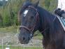 Mon ti gars que j'aime tant ... &#9829;
