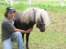 moi et stud le poney de mon amie!
