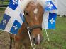Mon Kachou (fan de la st-jean)