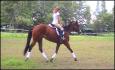 27 juin 201 : On est au trot, c'est super trotter avec toi...