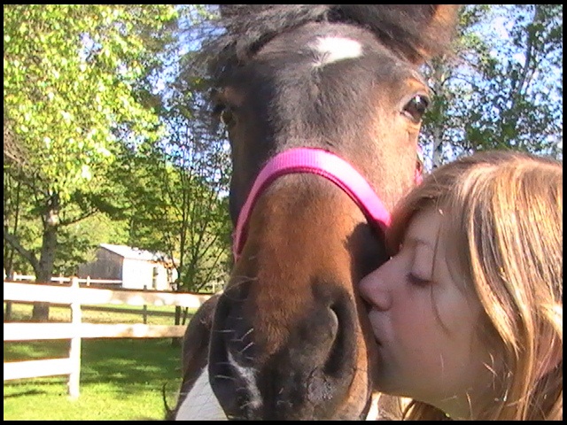 mai 2010 : Daliah, je t'aime ma belle.