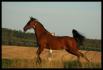 Toute une posture !!!!