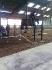 Sylvie et Aphrodite en saut d'obstacle sur un oxer d'1m25.
