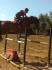 Sylvie et Smirnoff sur un oxer d'1m25.