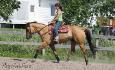 Marie, Whisky&me du forum, avec son beau Whisky le 2 juillet...