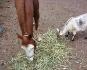 elle aime tous les etres vivant loll