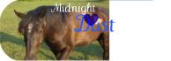 Mid ..  Je t'aime bibi .. Un beau montage juste...