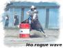 moi et leo rogue wave