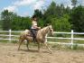 Gaaalllop! Moi et Mirage. :)