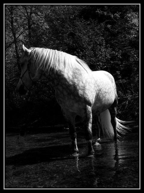 J'aime bien cette photo de mon gros. :)