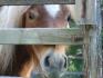 Tout est dans le regard....