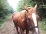 keyla hop star  ma belle fille