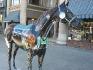 voici un autre cheval en statue :)
