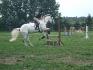 Toto et moi :-) Comm's ?