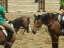 chalotte & boy de turin...