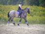 moi finissant une maneuvre au trot