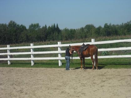 Parce que je l'aime tout simplement! (L)