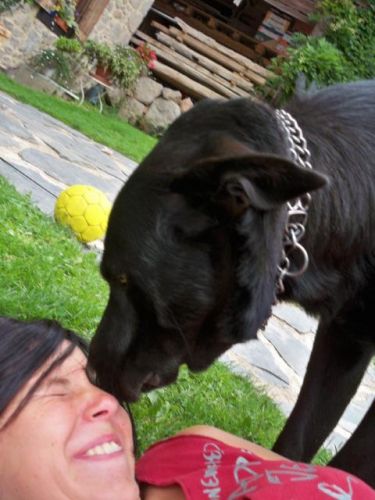 mon chien a toujours des id&eacute;es bizarre, comme sa maitresse...