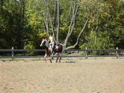 Moi ET Ma BElle Fancy!