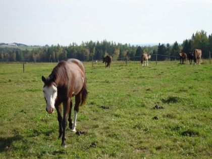 Frisson qui viens me voir,j'ai de la misère a le predre en photo...