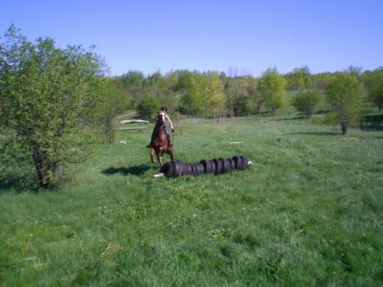 refu la premiere fois dans le boi avec des saut lanner passer :)...