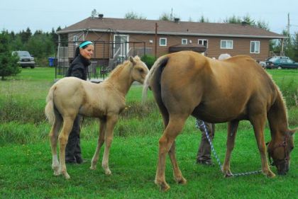 photo par Toffino