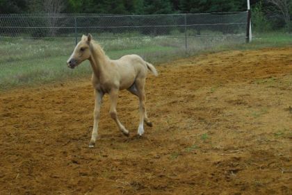 photo par Toffino