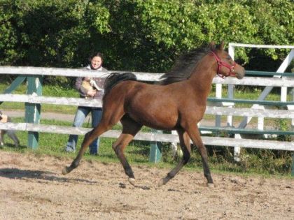 mon  bb à 2 ans!